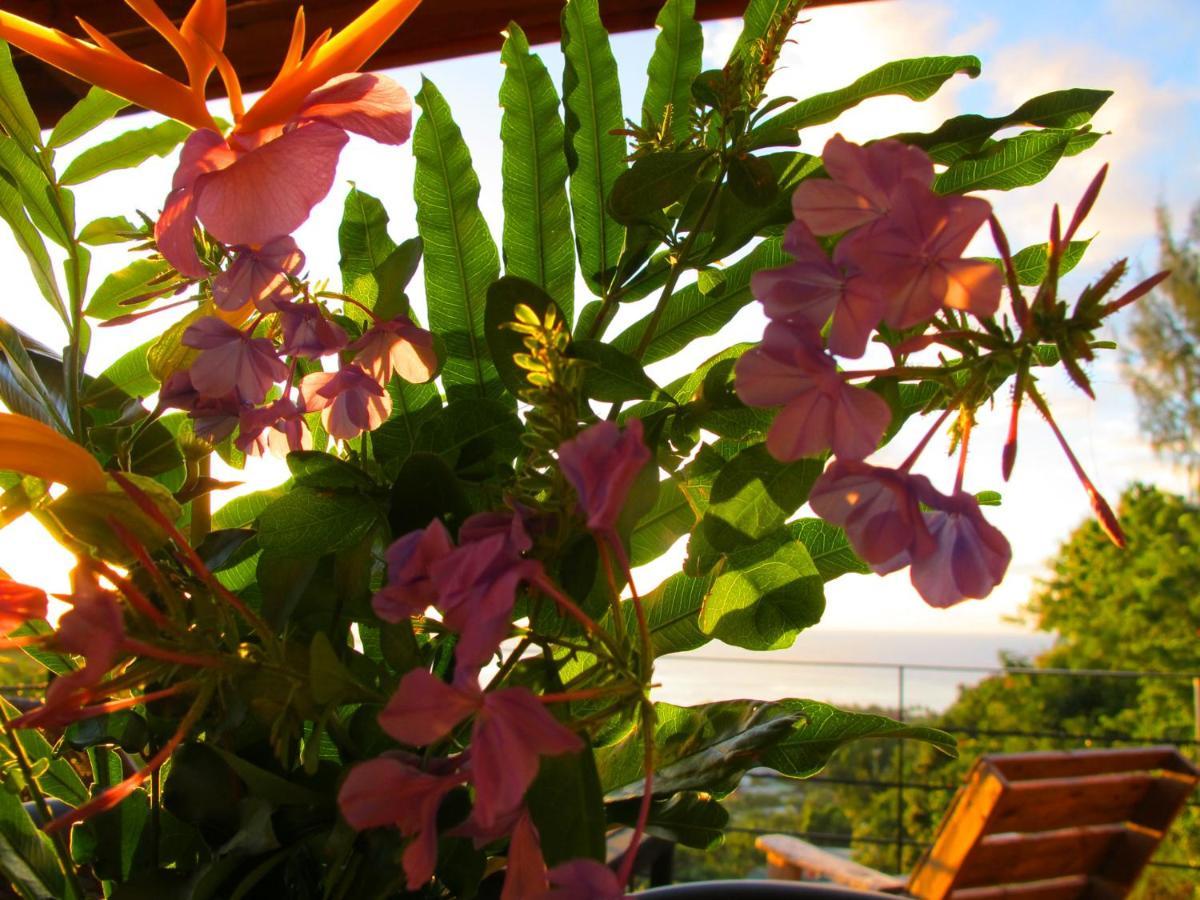 Bounty Lodge Tahiti Arue  Extérieur photo
